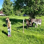 Apartamento Auszeit-biohof Neihausmo Böbing