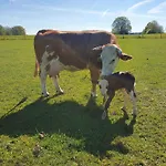 Auszeit-biohof Neihausmo * Böbing