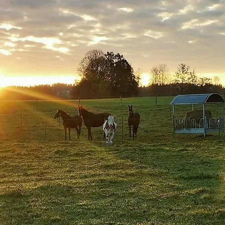 Apartamento Auszeit-biohof Neihausmo Böbing