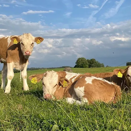 Auszeit-biohof Neihausmo Appartamento *